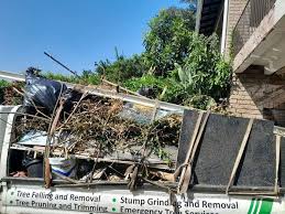 Shed Removal in Lawnside, NJ